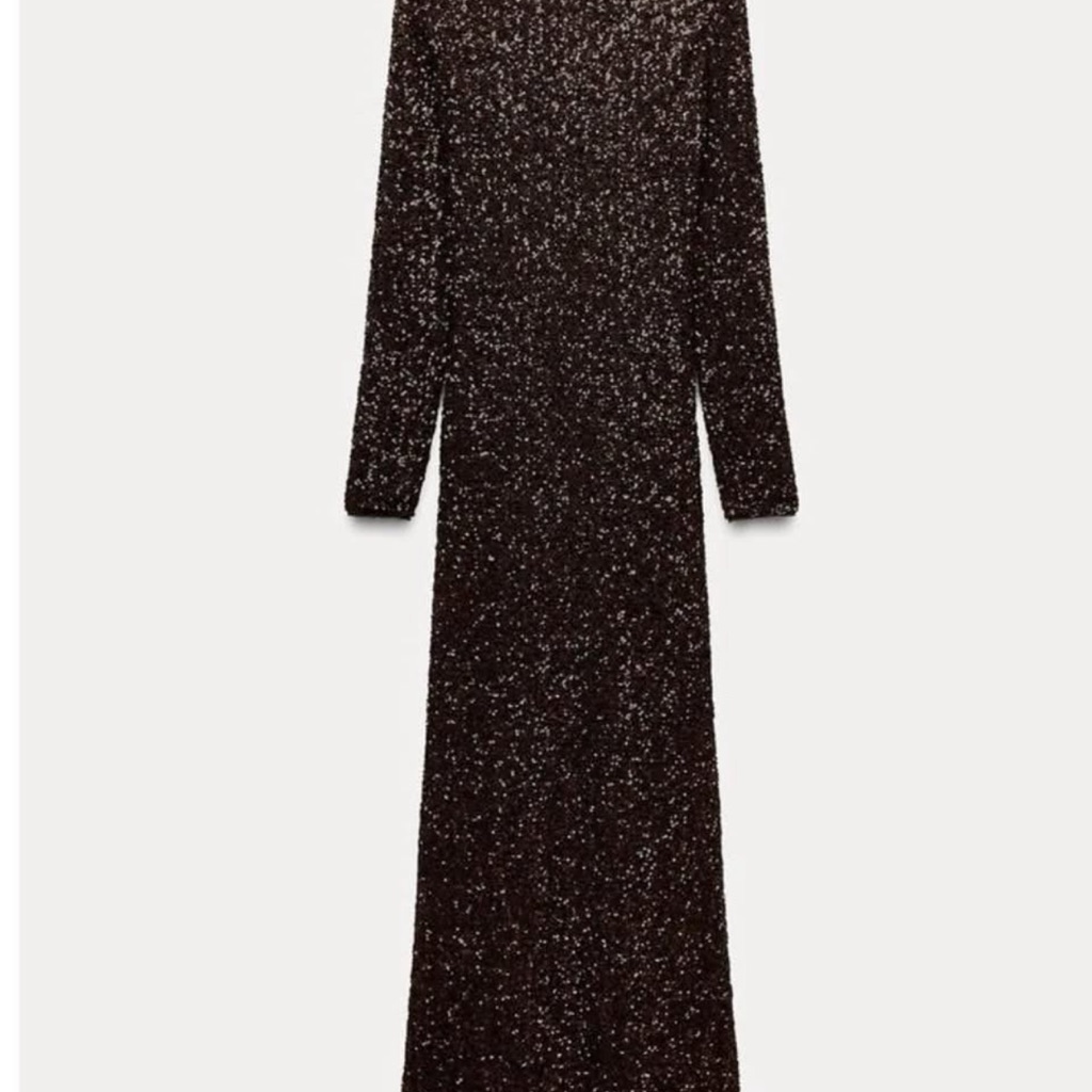 Zara Brown Sequin Long Sleeve Dress